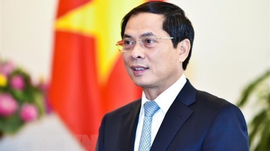 Minister: Vietnam’s re-election at ILC proves international community’s trust