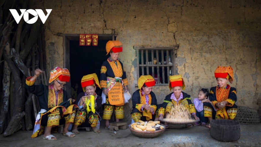 Giá trị văn hóa - Sức mạnh nội sinh, Sức mạnh mềm văn hóa Việt Nam