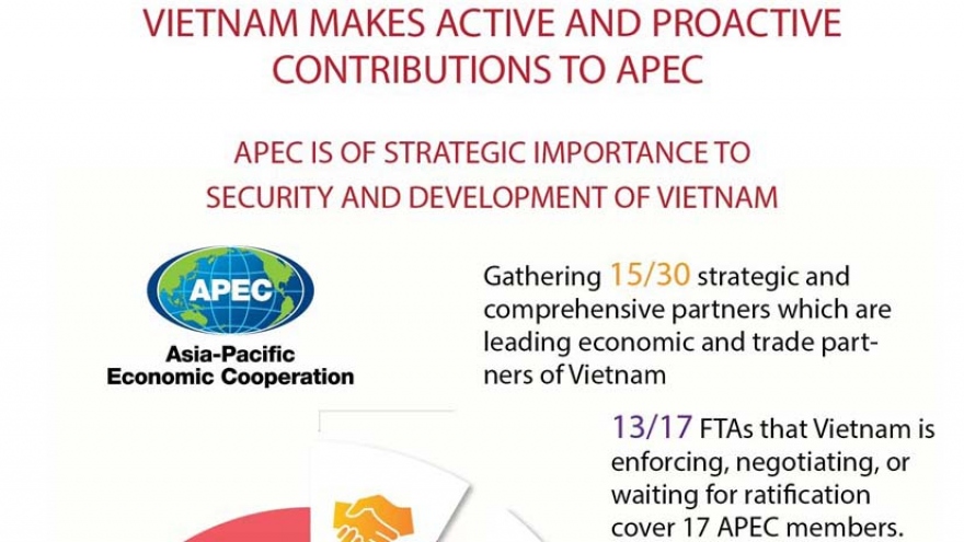 Vietnam makes active and proactive contributions to APEC