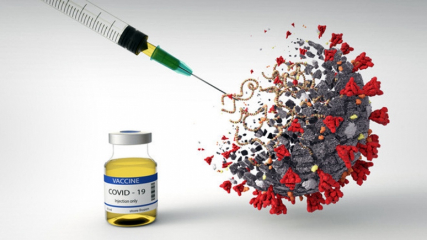 Các hãng dược chạy đua cập nhật vaccine Covid-19 diệt siêu biến thể Omicron