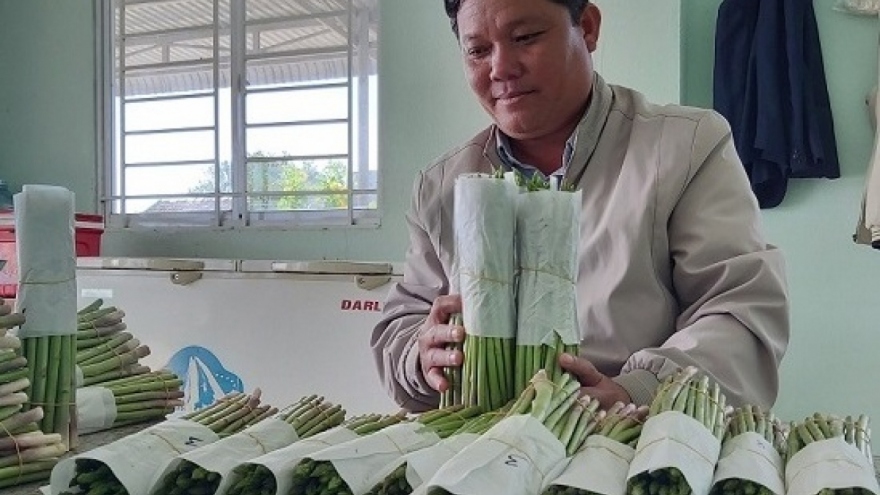 Ninh Thuận phát huy vai trò kinh tế hợp tác xã ở vùng đồng bào Chăm
