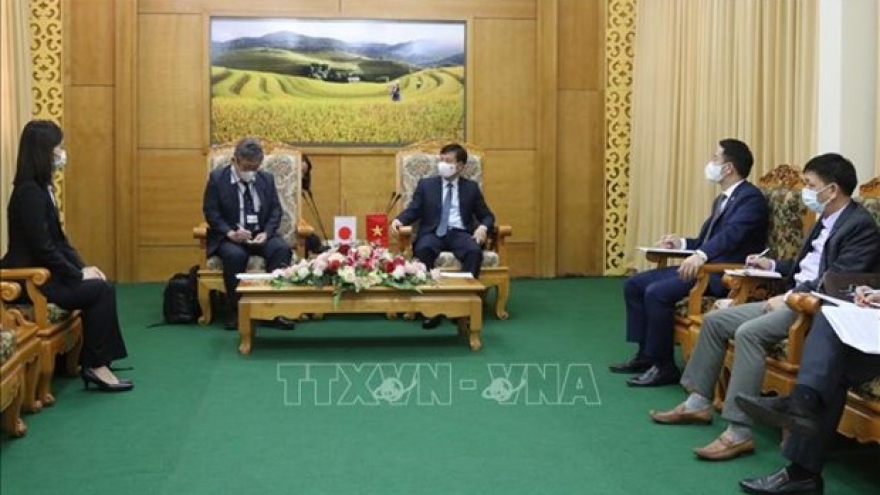 JICA delegation works in Yen Bai