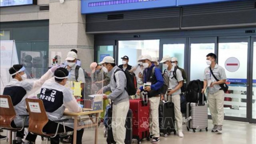 10 huyện, thị xã, thành phố bị dừng tuyển chọn lao động đi Hàn Quốc
