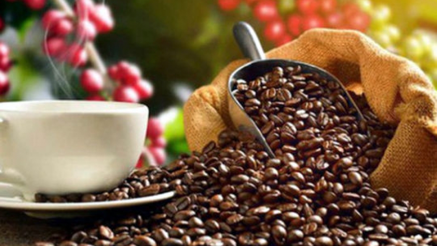 Coffee exports to enjoy robust growth ahead in fourth quarter