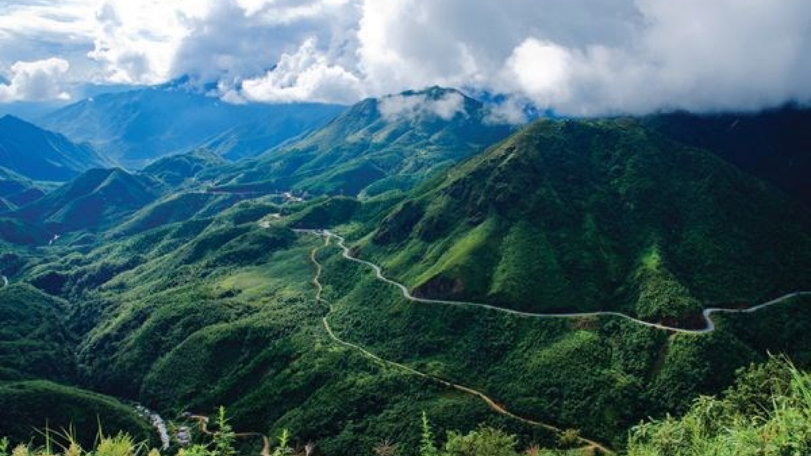 Lao Cai receives USAID’s aid for sustainable forest management