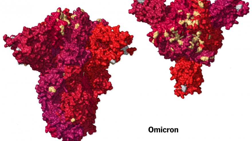 Nghiên cứu Trung Quốc: Khả năng lây nhiễm của Omicron cao hơn 37,5% so với Delta