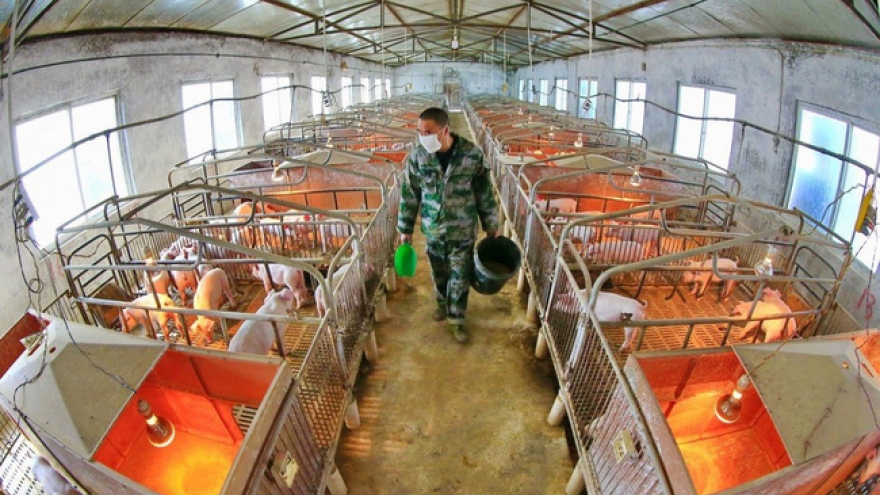 Trung Quốc chuyển đổi khí thải công nghiệp thành protein thức ăn chăn nuôi