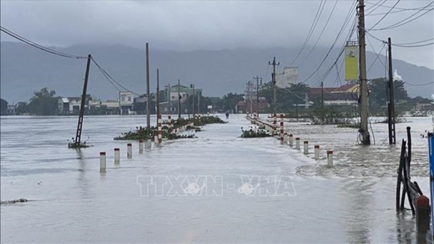 Vietnam can learn from Brussels' flood prevention experience: expert