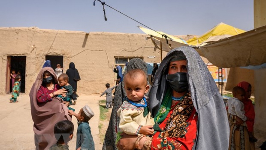 Hàng triệu trẻ em Afghanistan đang chịu cảnh suy dinh dưỡng
