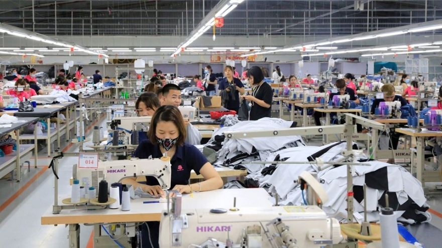 Bất chấp dịch bệnh, kim ngạch xuất nhập khẩu của tỉnh Thái Bình tăng vẫn tăng mạnh