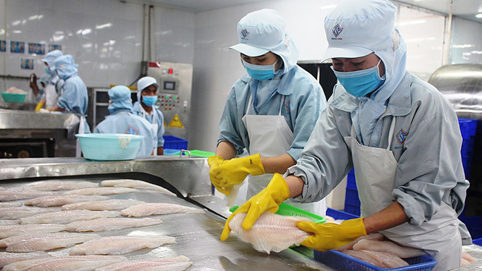 Xuất khẩu nông, lâm, thủy sản năm nay sẽ vượt 44 tỷ USD