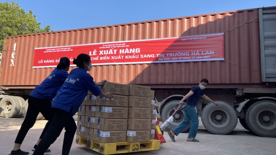 First batch of processed bamboo shoots shipped to Netherlands