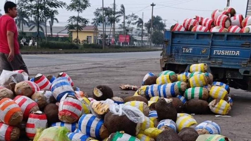 Xe hàng chôn chân ở cửa khẩu Lạng Sơn: Doanh nghiệp bất lực nhìn tiền bốc hơi