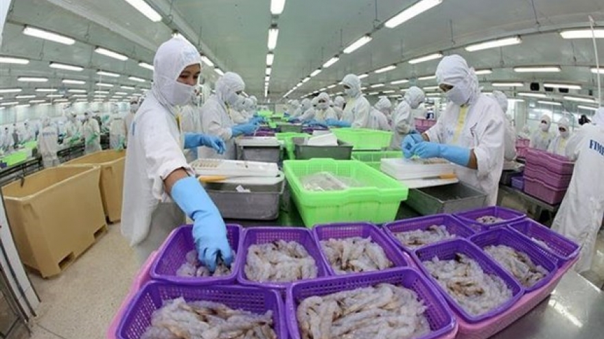 Room for Vietnam’s exports to Eurasia remains huge