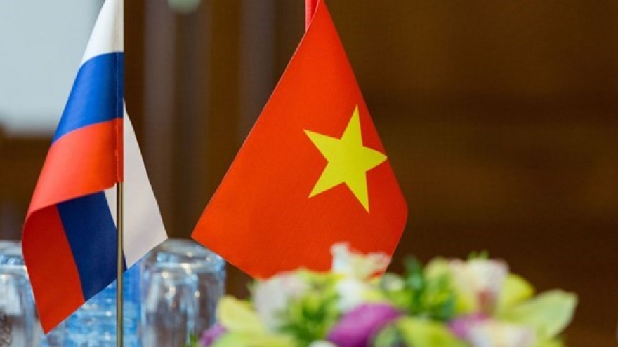 Vietnam fosters cooperation with Russian political parties