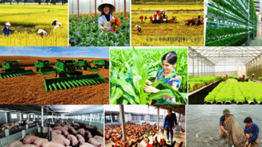 Agriculture continues to be solid pillar of national economy