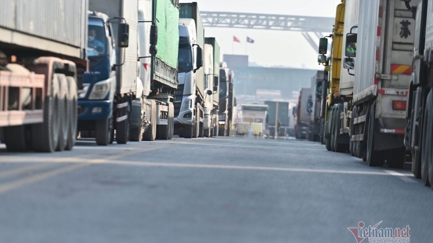 Farm export deadlock at border gates: long-term solution needed