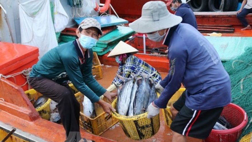 Deputy Minister requests efforts to remove IUU fishing warning