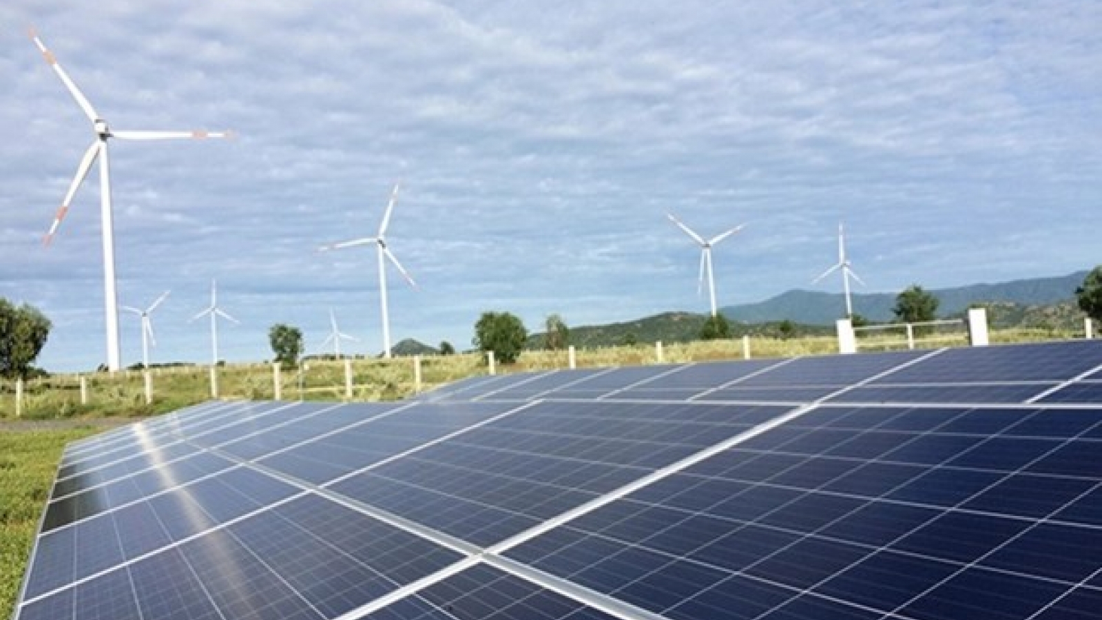 Vietnam seeks consultancy in developing energy technologies