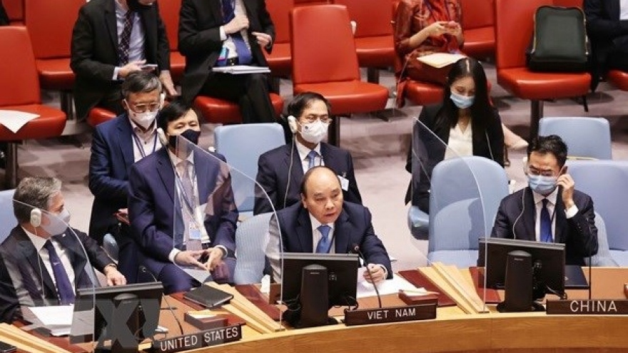 Vietnam makes valuable contributions in UNSC: UK Permanent Representative to UN