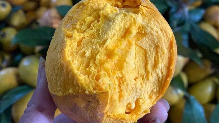 “Siêu thực phẩm” có giá 1,5 triệu đồng/kg trên Amazon mà ở Việt Nam chỉ 15.000 đồng