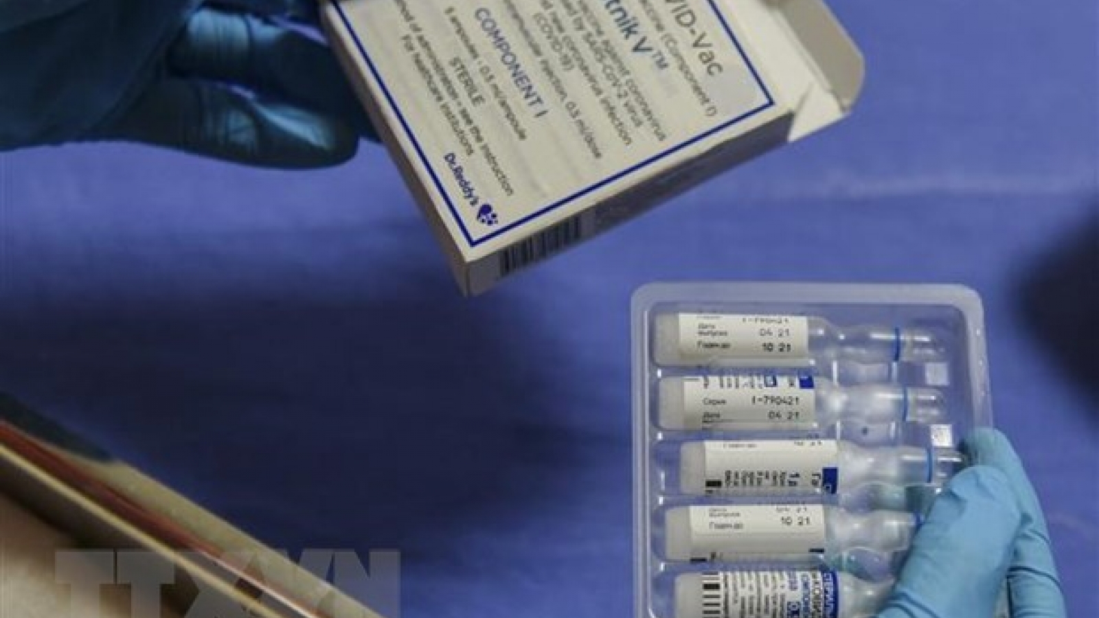 Sputnik V vaccine production factory to be built in Vietnam in one year