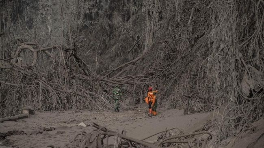 Gần 50 người chết, Indonesia tăng thời gian ứng phó thảm họa núi lửa Semeru