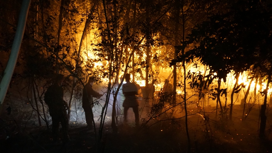 21 vụ cháy rừng ở Quảng Ninh ảnh hưởng 113 ha rừng trồng