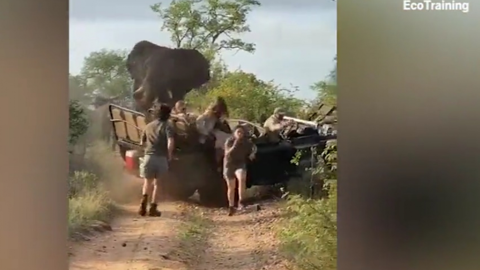 Kinh hãi khoảnh khắc voi động dục lao tới húc nghiêng xe jeep