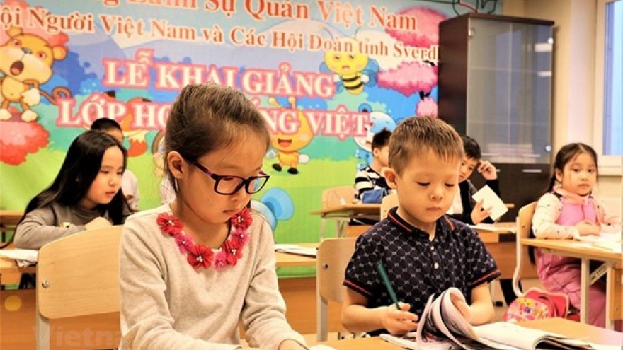 Action programme aims to promote overseas Vietnamese-related affairs