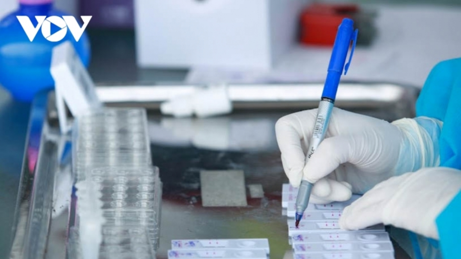 COVID-19: Vietnam records 16,555 new cases, 240 more deaths