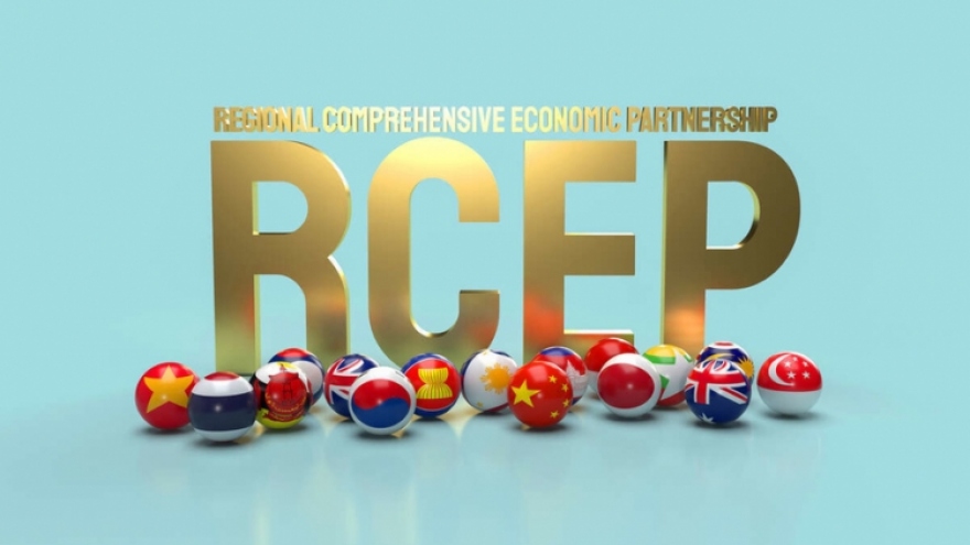 Vietnam adopts decision on RCEP enforcement plan