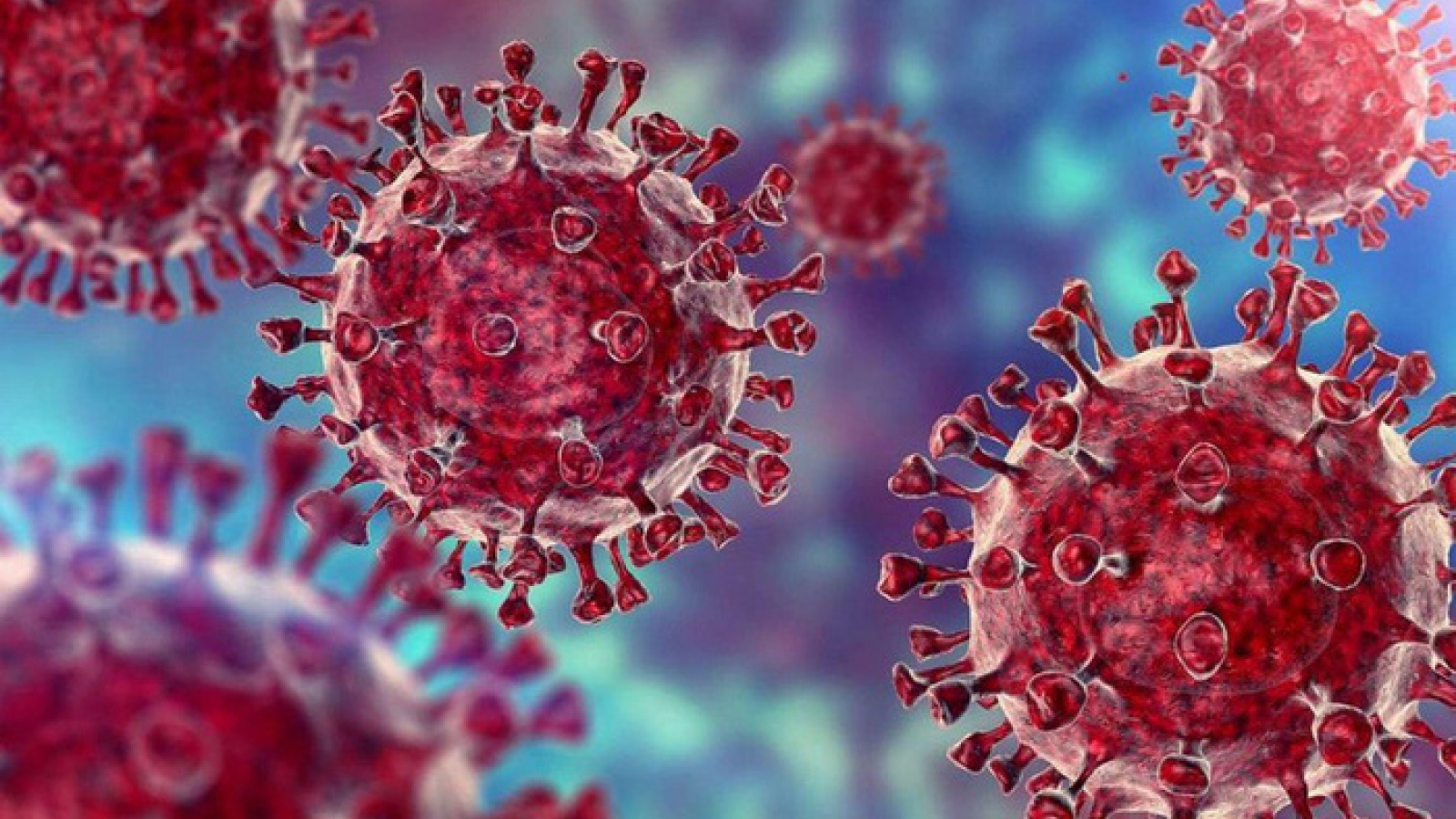 Hanoi records first community case of Omicron variant 