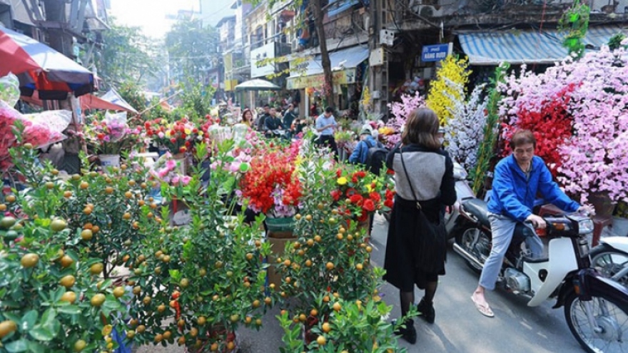 Phương án phân luồng giao thông phục vụ chợ hoa xuân Tết Nguyên Đán tại Hà Nội