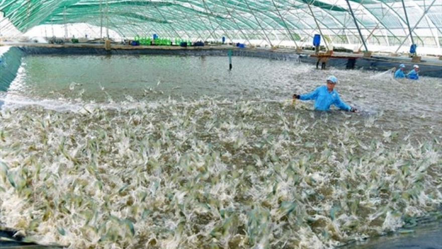 Vietnam plans modern and sustainable fisheries industry