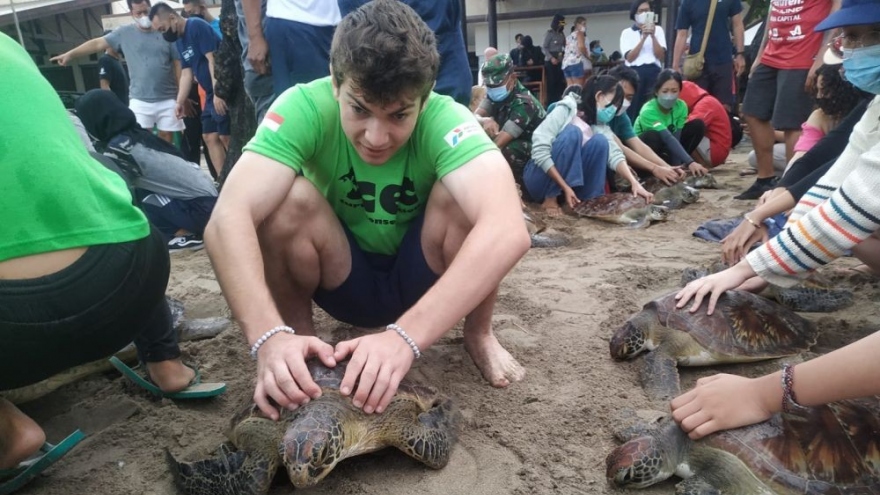 Bali (Indonesia) thả 33 con rùa biển xanh có nguy cơ tuyệt chủng về đại dương