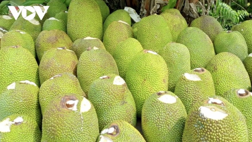 Australians taste Vietnamese processed jackfruit products