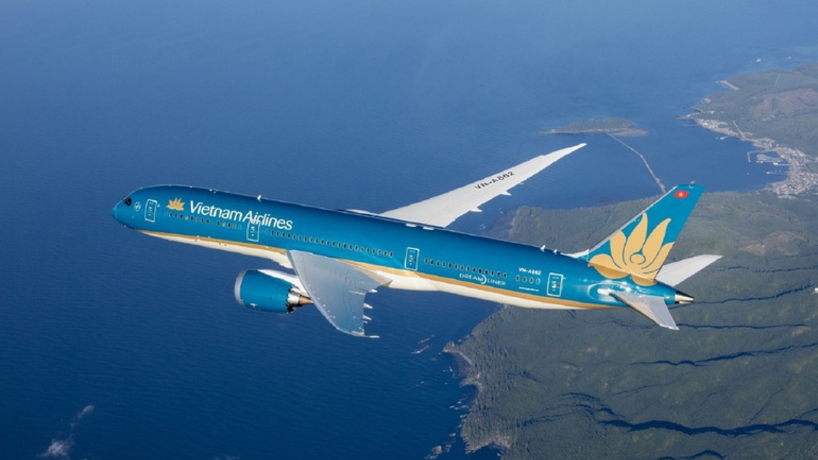 Japanese man threatens to shoot down Vietnam aircraft ‘without motive’