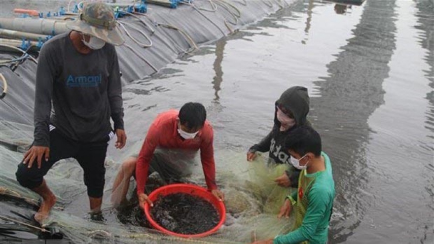 RoK aids aquaculture productivity enhancement in Vietnam