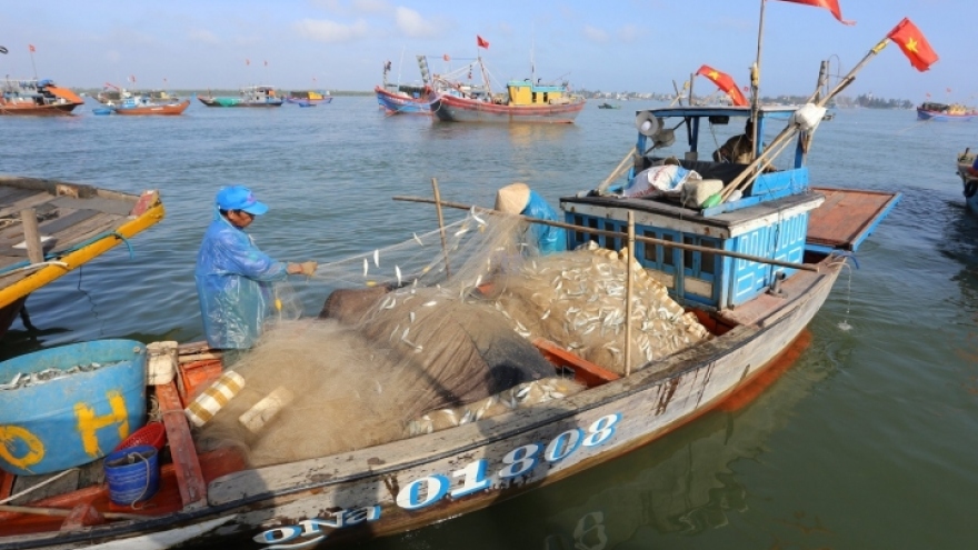 Chi phí ra khơi tăng cao, nhiều ngư dân cho tàu nằm bờ