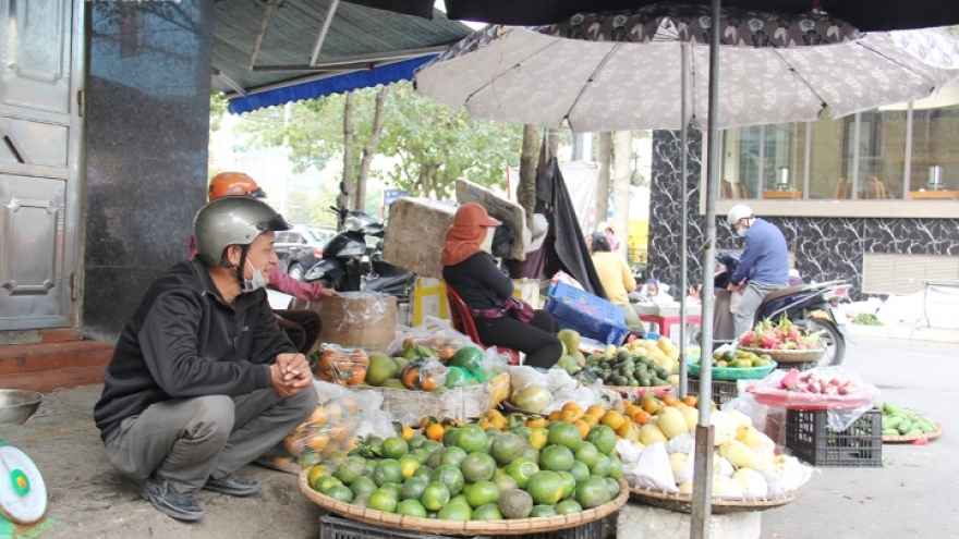 Đắt hàng mùa dịch, giá cam quýt 'nhảy múa'