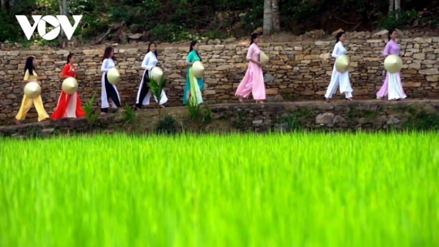 Hoi An aims to develop green tourism model 