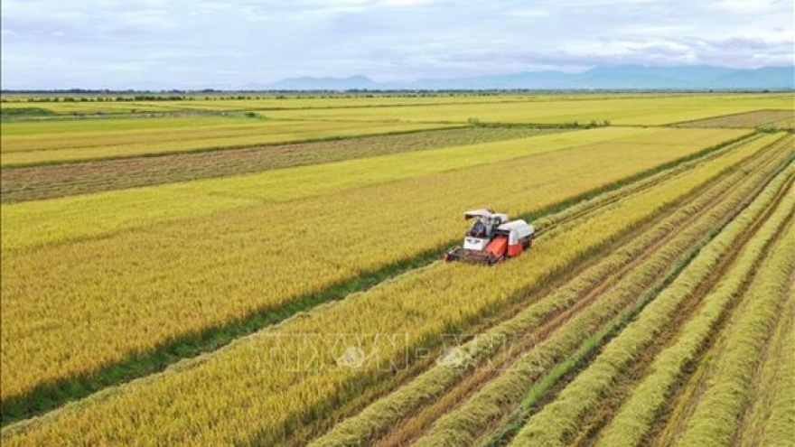 Rice produced by multi-stakeholder partnership shipped abroad