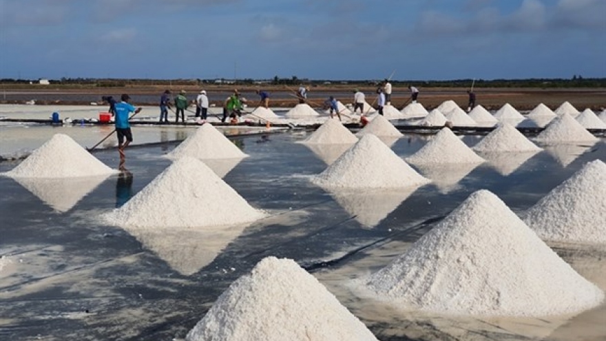 Vietnam’s salt industry must adapt: official