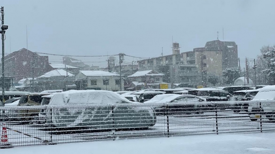 Tuyết rơi dày ở Tokyo và khu vực lân cận, gây gián đoạn giao thông