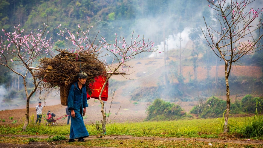 Sức sống trên Cao nguyên đá Đồng Văn