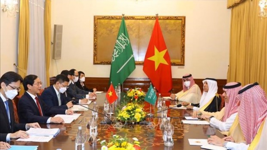 Foreign Minister Bui Thanh Son holds talks with Saudi Arabian counterpart