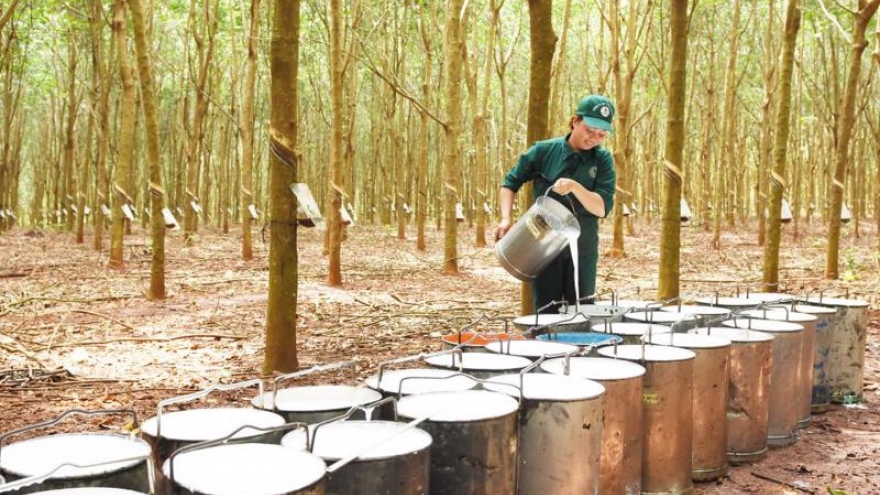 Vietnamese rubber exports to RoK on the rise