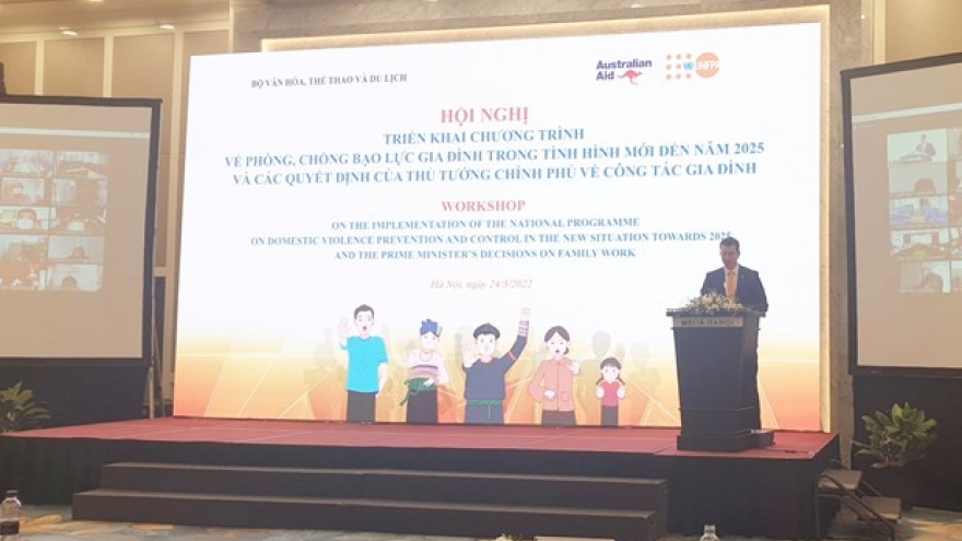 Vietnam resolved to tackle domestic violence: Workshop