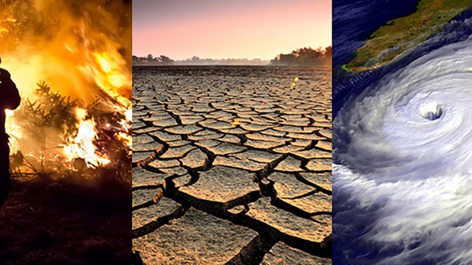 People hold key role in responding to climate change: President